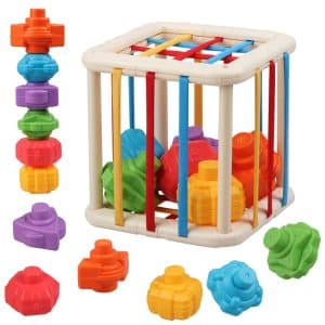Rattle Cage