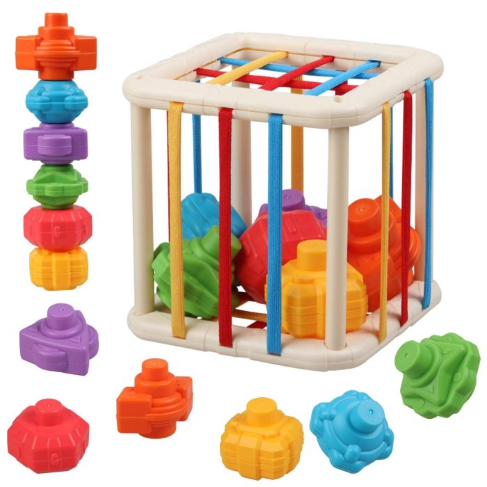 Rattle Cage