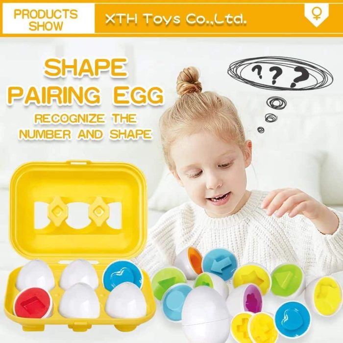 Baby Eggs Box Color Puzzle Matching