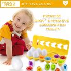 Baby Eggs Box Color Puzzle Matching