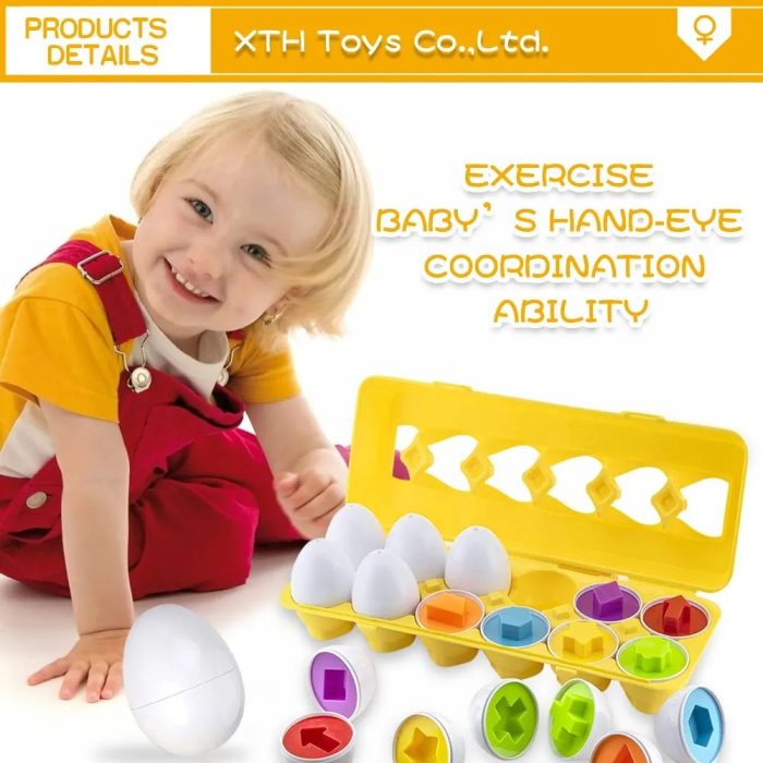 Baby Eggs Box Color Puzzle Matching