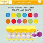 Baby Eggs Box Color Puzzle Matching