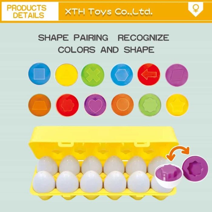 Baby Eggs Box Color Puzzle Matching